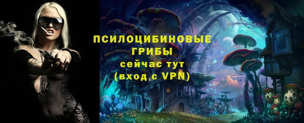 бошки Верхний Тагил