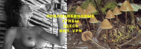 ALPHA-PVP Бугульма