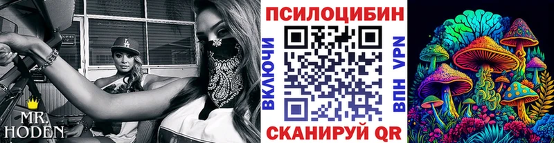 OMG онион  где продают наркотики  Кизляр  Псилоцибиновые грибы Psilocybe 